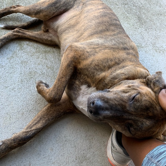 Meet your Posher, Jess - Picture 6 of 9